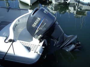 Expertise bateau à moteur hors bord et inboard